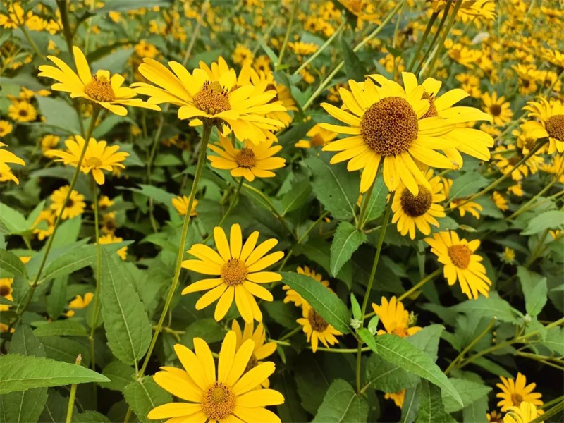 011680310184721578.jpg 微信圖片_20230401084849.jpg