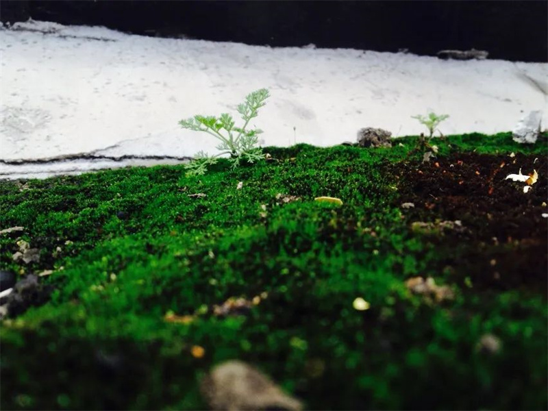 101681127241329982.jpg 微信圖片_20230410194559.jpg