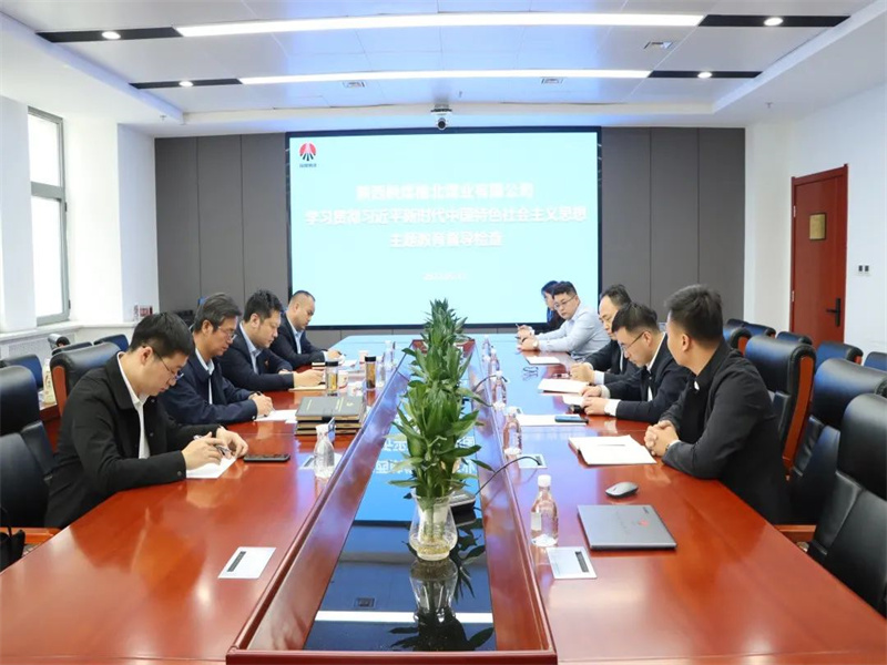 181684369011949266.jpg 公司開展學習貫徹習近平新時代中國特色社會主義思想主題教育督導檢查.jpg