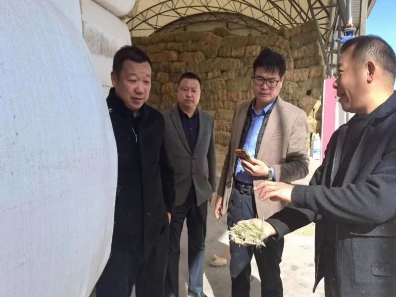 081686227025144168.jpg 640 (4).jpg