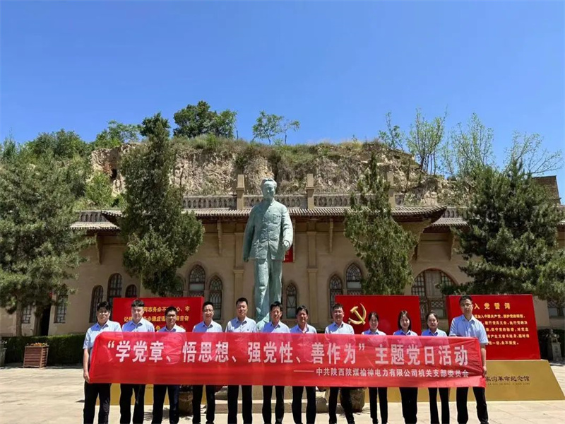 榆神電力公司開展“學黨章、悟思想、強黨性、善作為”主題黨日活動.jpg