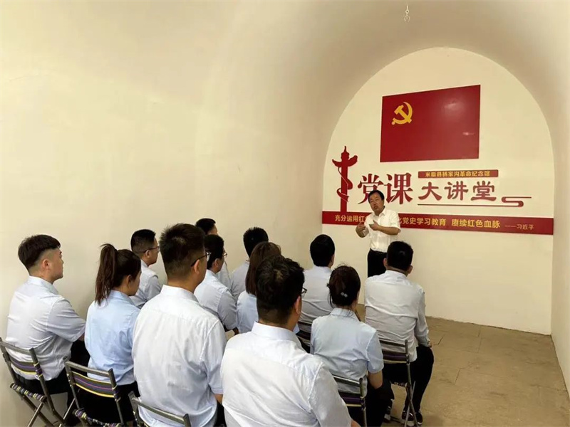 榆神電力公司開展“學黨章、悟思想、強黨性、善作為”主題黨日活動（3）.jpg