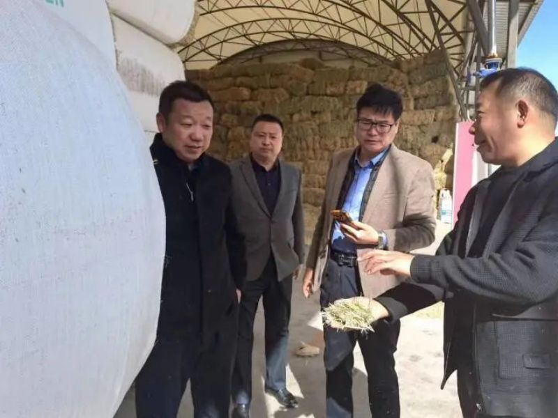 021688286325696584.jpg 640 (2).jpg