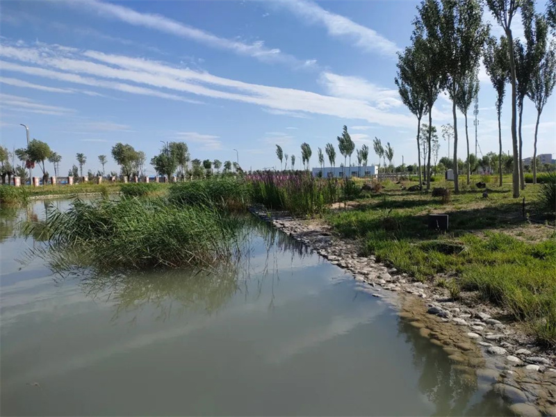 091688869511867801.jpg 職工文苑丨品味仲夏之夢.jpg