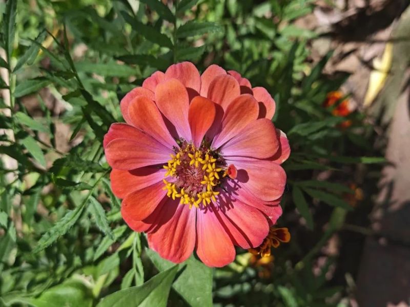 241690190163859256.jpg 640 (3).jpg