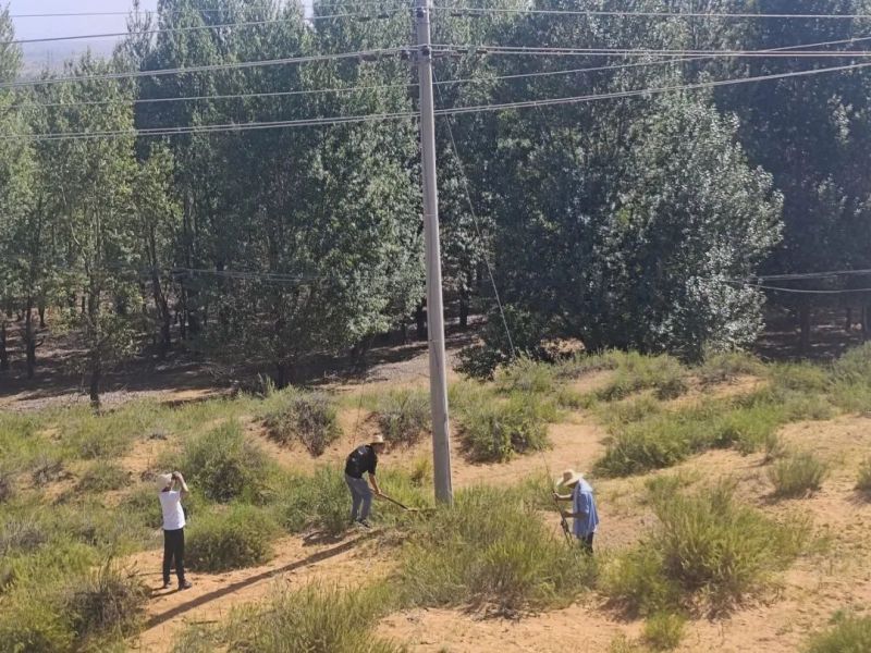 241692848539563635.jpg 640 (1).jpg