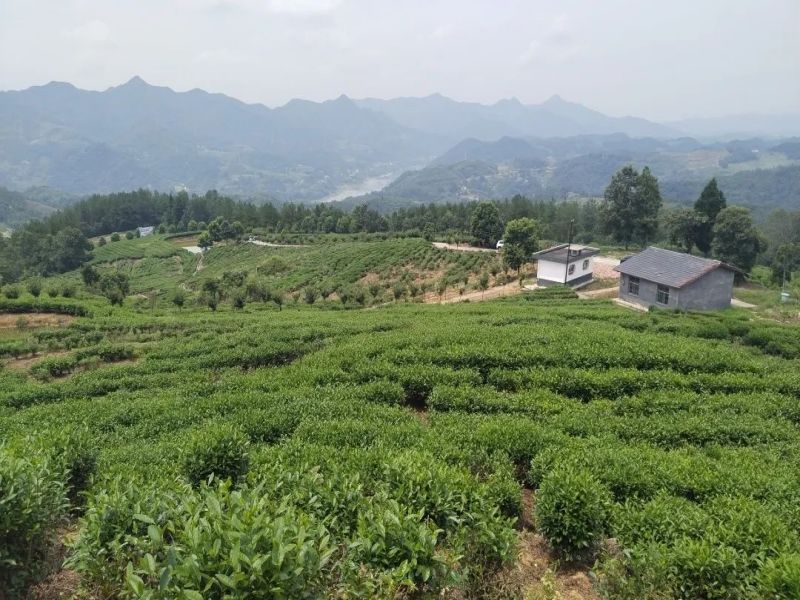 041693823302946661.jpg 640 (3).jpg