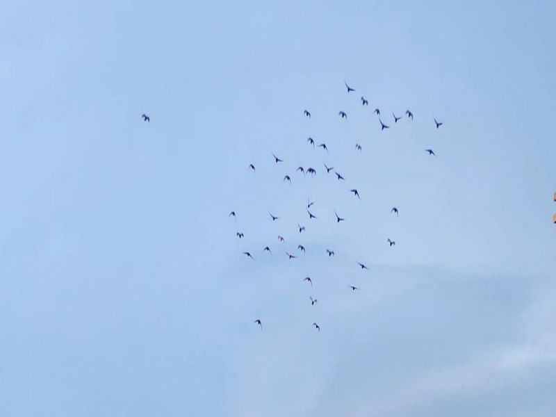 111694393885532458.jpg 微信圖片_20230911085743.jpg