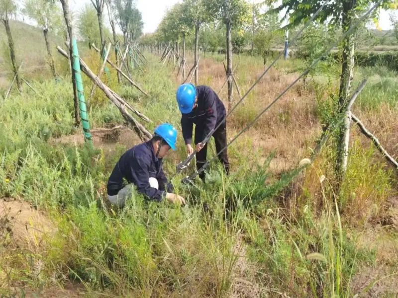 091696821370751315.jpg 640 (2).jpg