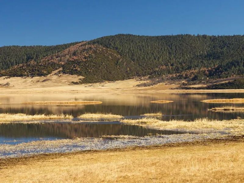 281698484253217632.jpg 640.jpg