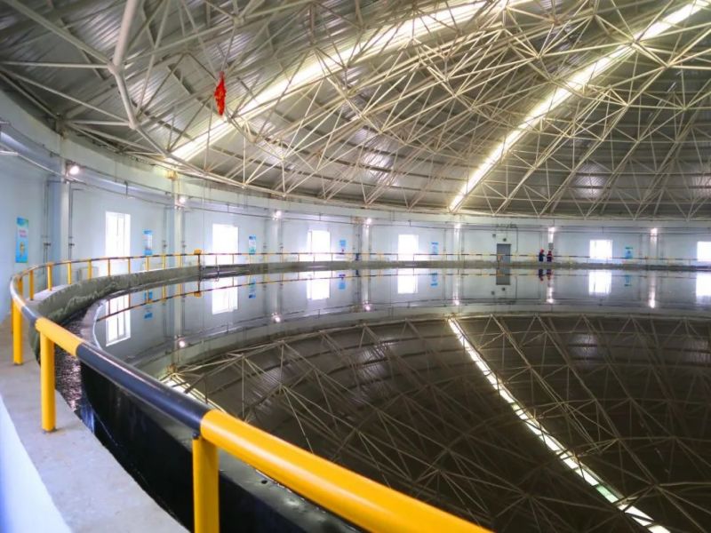 171700185675765961.jpg 640 (3).jpg