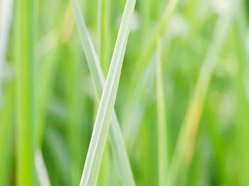 201708388414856774.jpg 640 (8).jpg