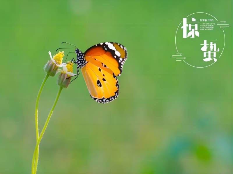 061709689519954823.jpg 640 (111)(1).jpg