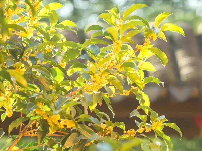 081709858475828636.jpg 微信圖片_20240308083846(1).jpg