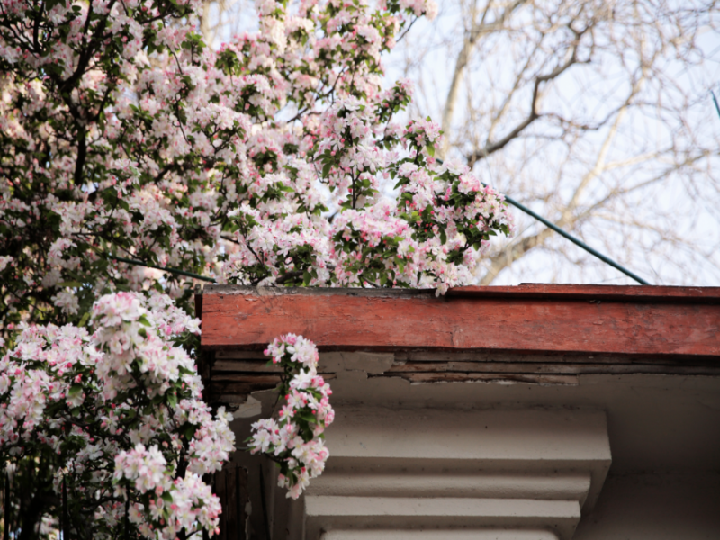 211710980171847141.png 640.png