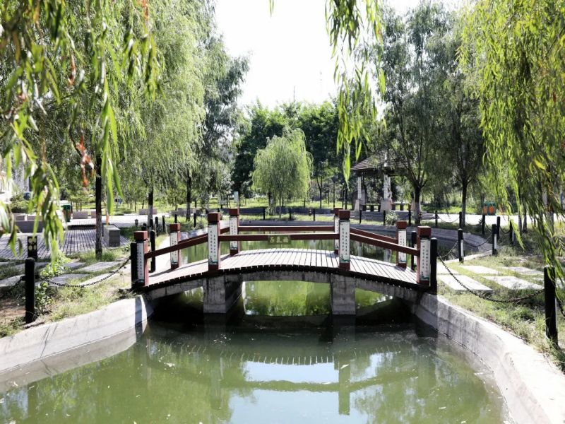 281711585781775668.jpg 640(1).jpg