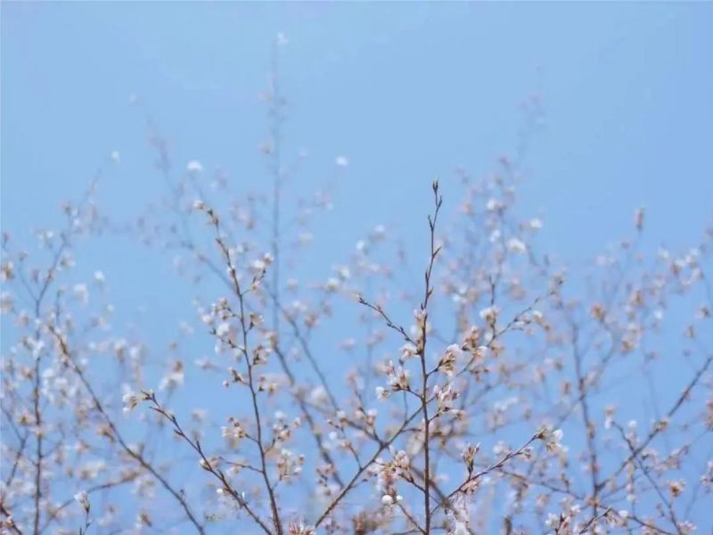 081712538222937723.jpg 640 (1).jpg