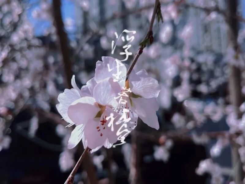 181713399801710438.jpg 640 (1).jpg