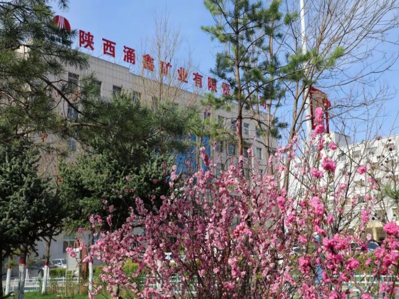 051714888947575667.jpg 341.jpg