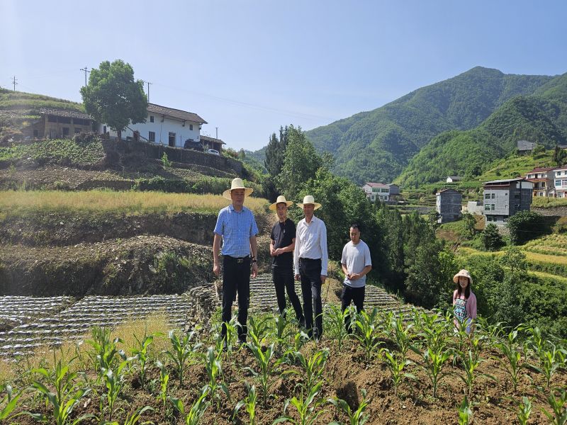 221716344466386956.jpg 2eba47458ff64a9854b46c1edc809e8.jpg