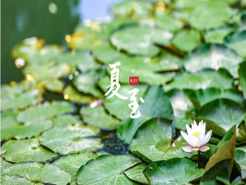 221719020273305365.png 微信截圖_20240622093616.png