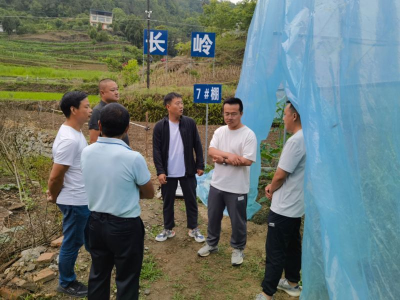 041720102461388335.jpg 3.jpg