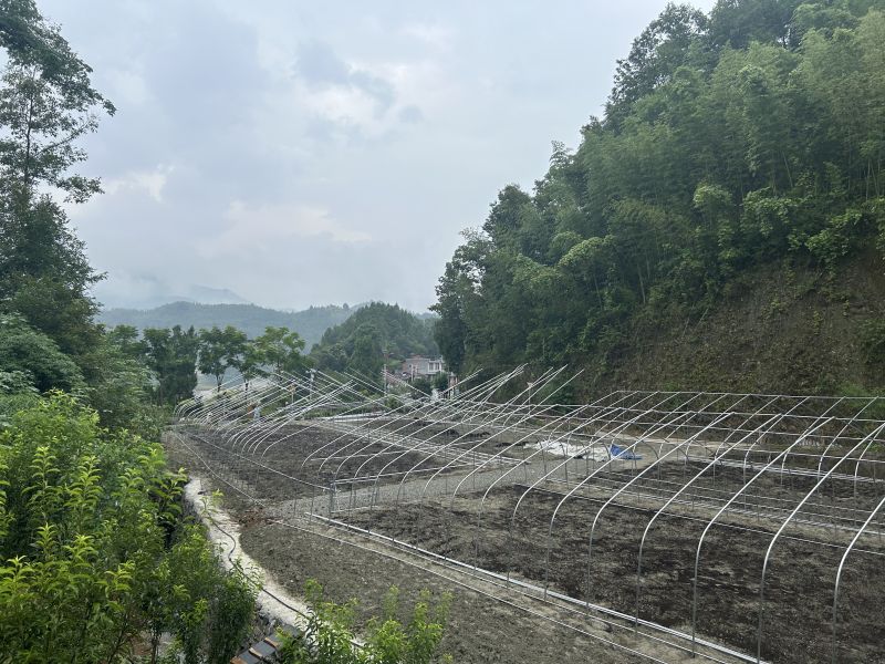 011722495506933839.jpg f1d698ca03439655d158841dd62c5ad.jpg