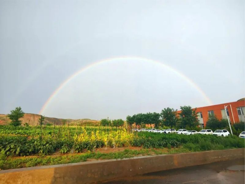 241724461417710523.jpg 微信圖片_20240824090148.jpg