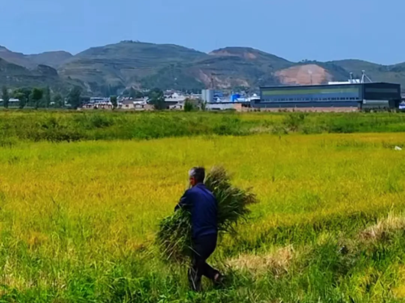 041728034736678064.png 微信圖片_20241004173733.png