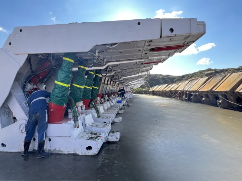 131731456397638199.png 1212131313.png