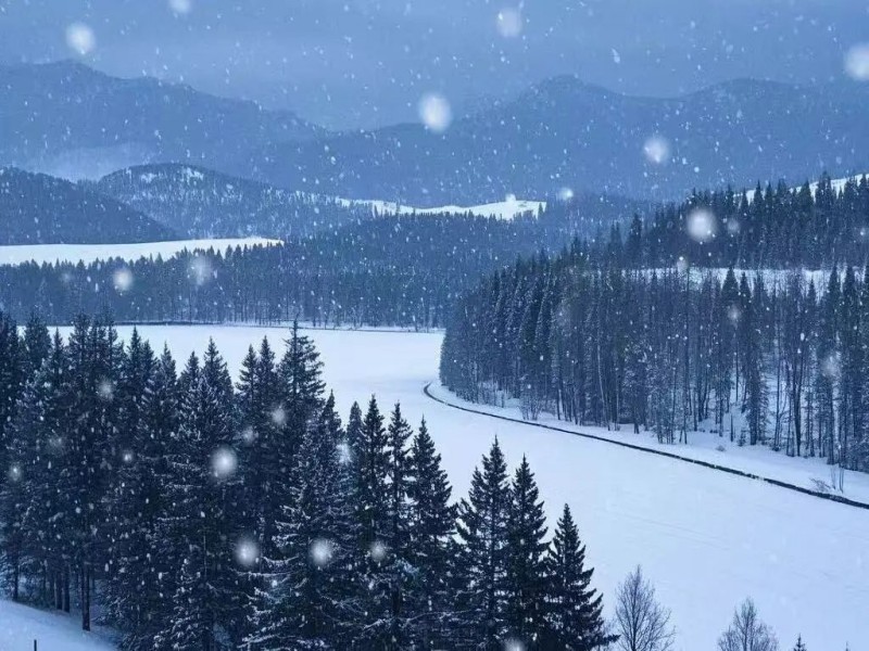 071733551871474371.jpg 微信圖片_20241207140810.jpg