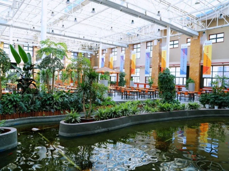 141739493870938435.jpg 2.jpg