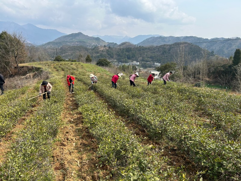 191742346581374714.jpg fc3031bef1da2d71d78ec5a77b920a9.jpg