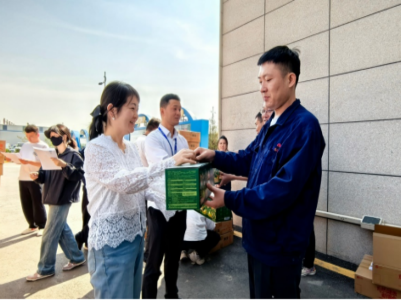 041749002349325707.png 2.png