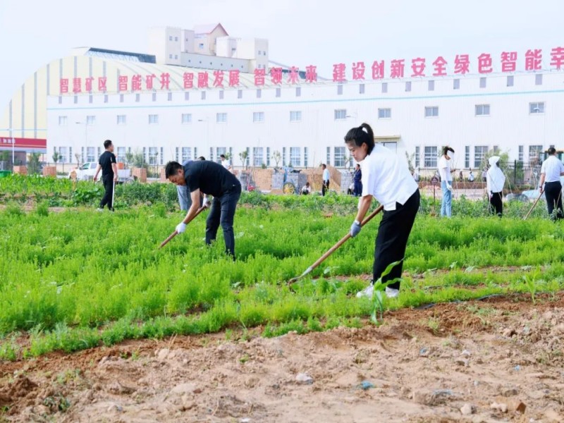 191752885016443009.jpg 1.jpg