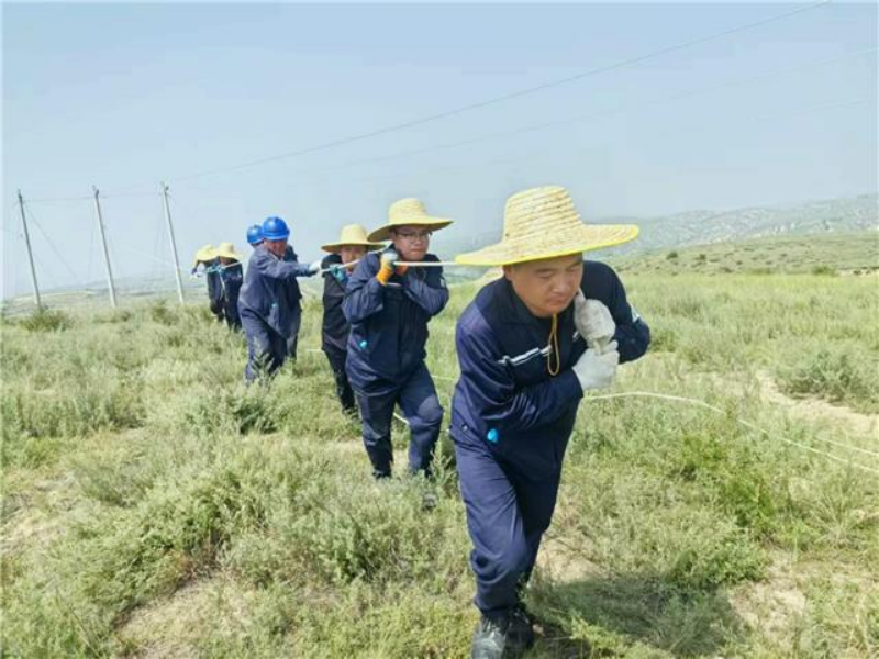 251753439142987301.png 1.png