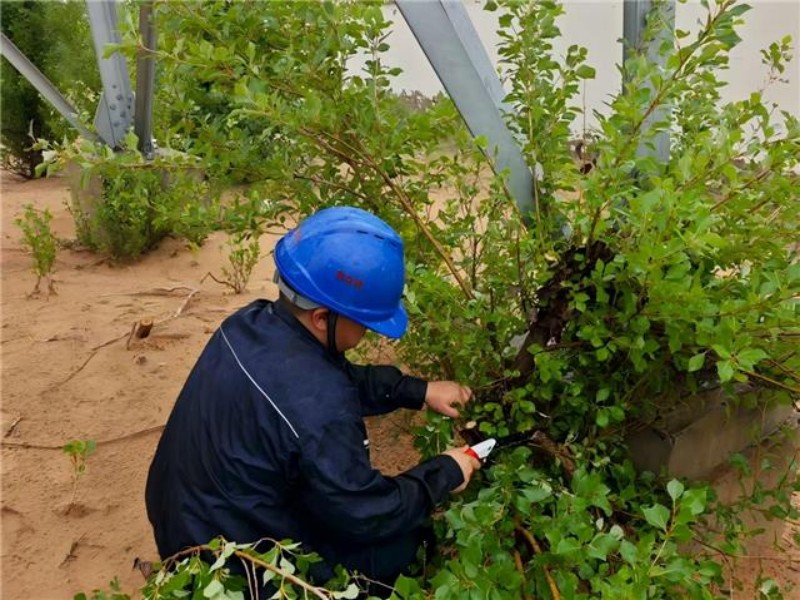 171755396062900477.jpg 8.jpg