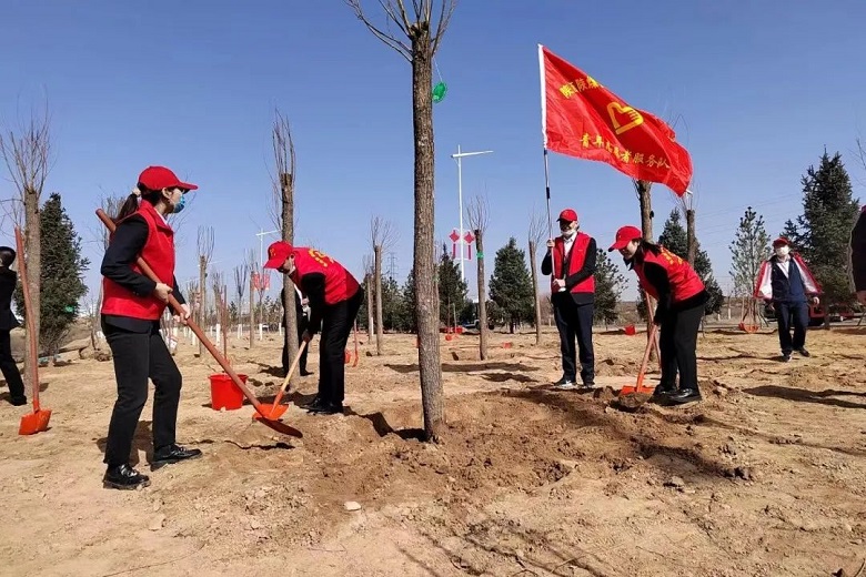 1647218716852939.jpg 3.jpg