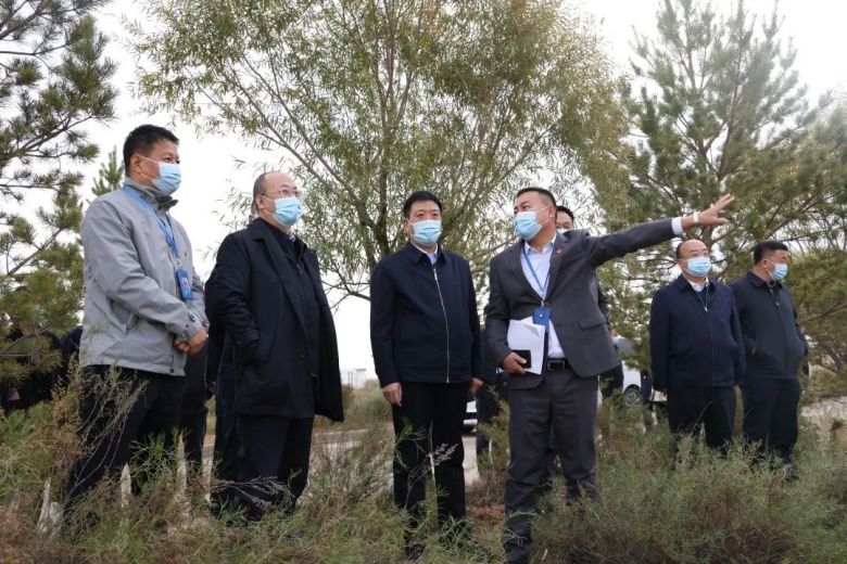 1666337168152190.jpg 640.jpg